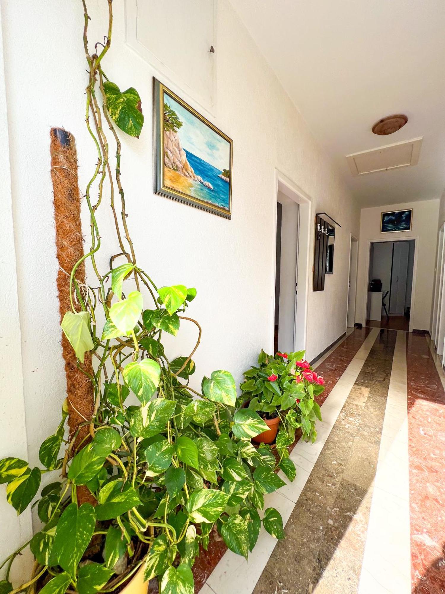 Apartment Bava Дубровник Экстерьер фото